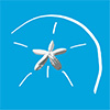 Logo Bahia Tours